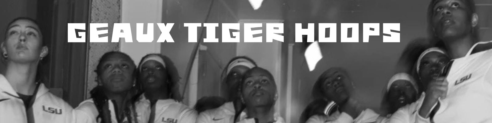 Banner image