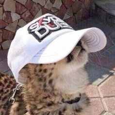 Jirafha’s avatar
