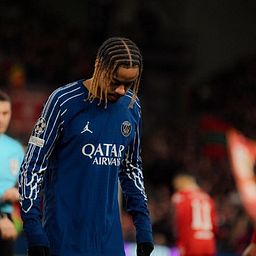 franbellozo’s avatar