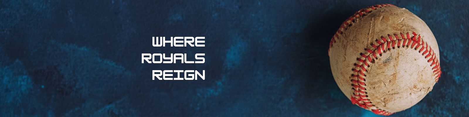 Banner image