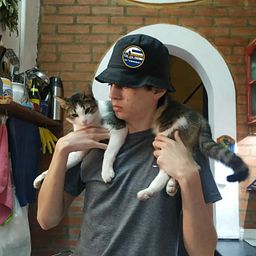 federicoovidal’s avatar