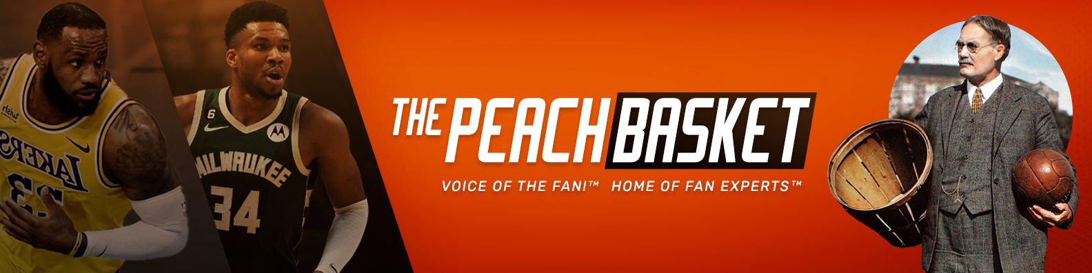 Banner image