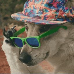 MattSmiggs’s avatar