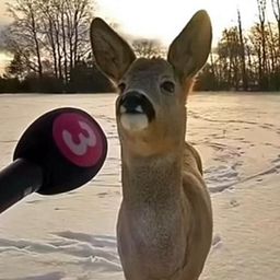 Carrieunmathis’s avatar
