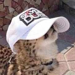 Jirafha’s avatar