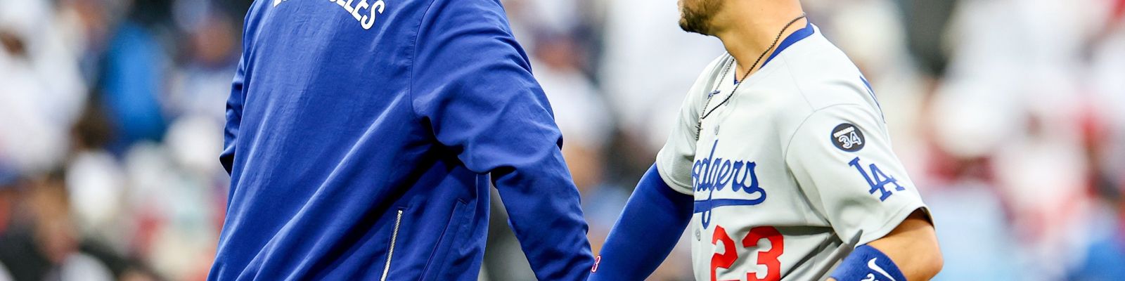 Banner image